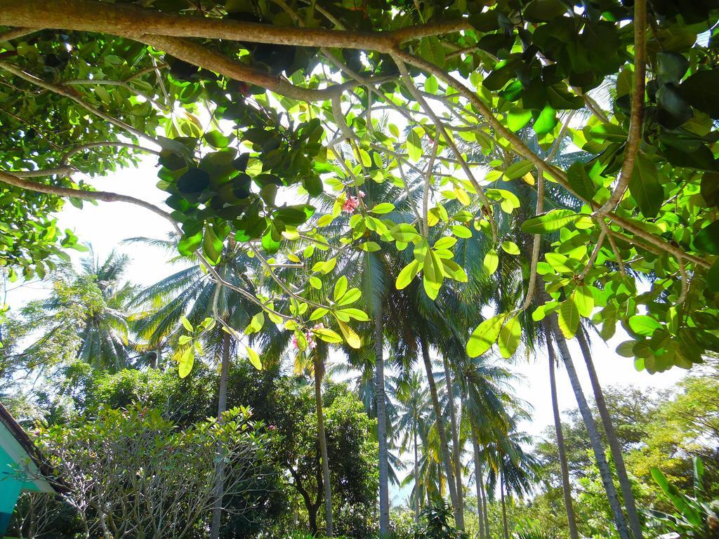 Lazy Monkey Senggigi Exterior foto